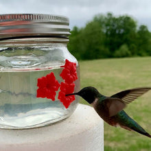 Load image into Gallery viewer, Beautiful Hummingbird Feeder Mason Jar With Ports Flower Hanging
